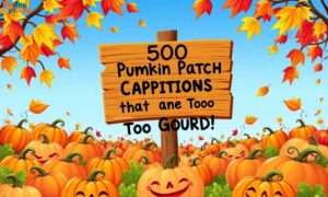 500 Pumpkin Patch Captions That Are Too Gourd